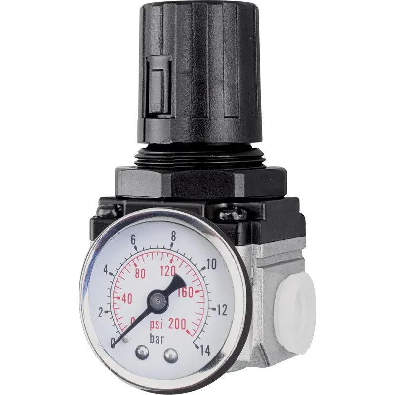 Air Regulator (Gauge Included) 1