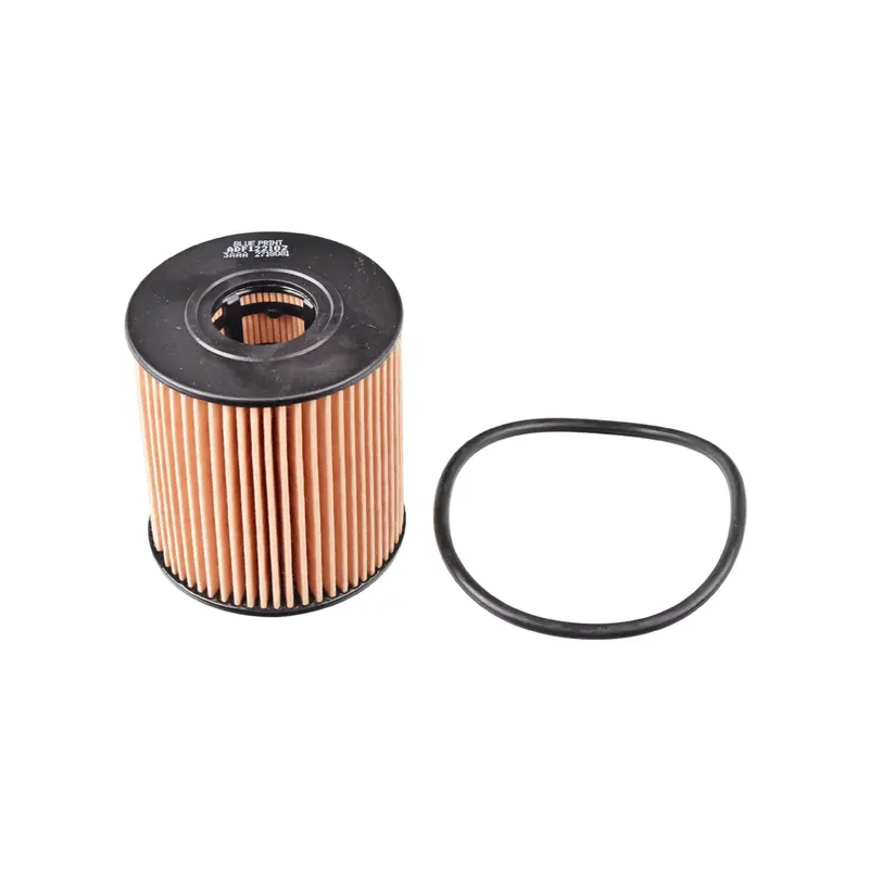 Blue Print Oil Filter Adf122102 1
