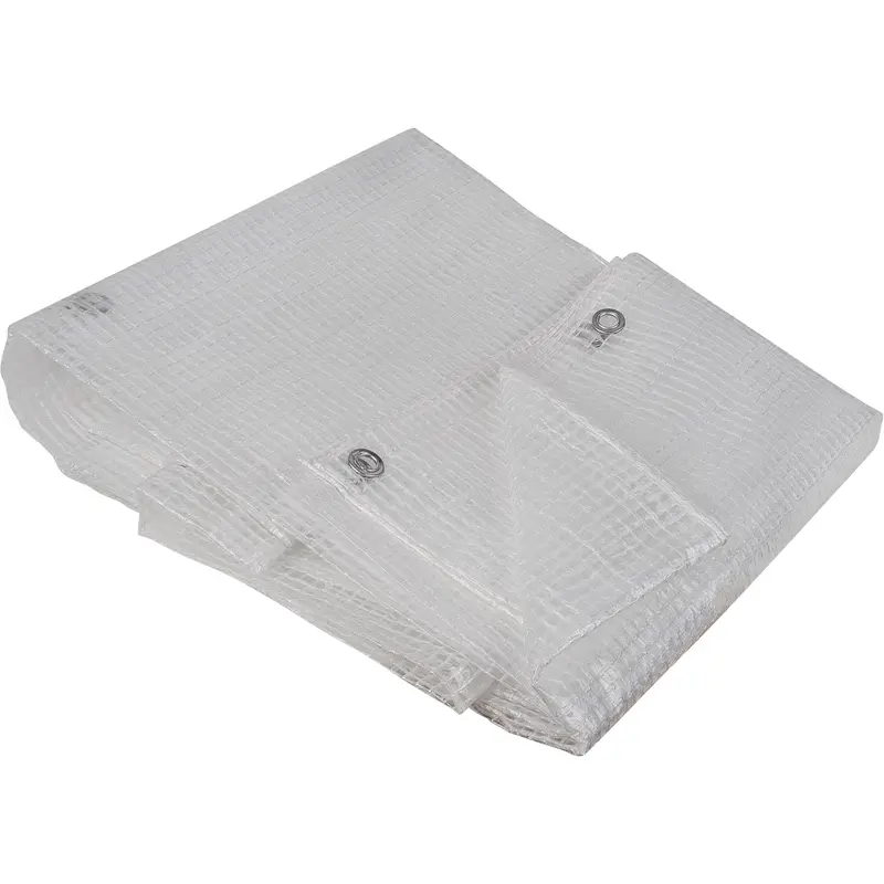 Clear Tarp, 12' X 10' X 8 Mils 1