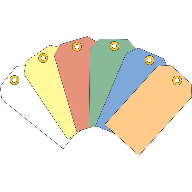 Coloured Blank Tags, Cardstock, 3-1/8" W X 6-1/4" H 1