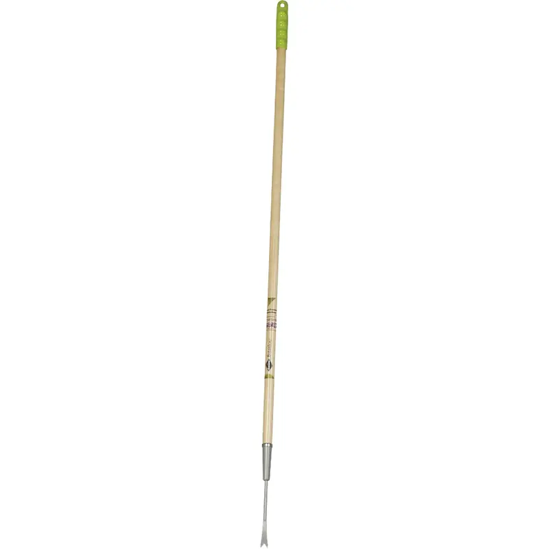 Dandelion Weeder 1