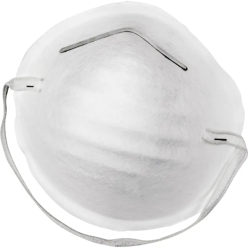 Disposable Nuisance Dust Mask 1