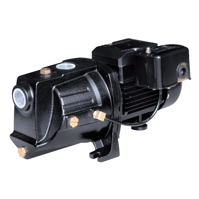 Dual Voltage Cast Iron Shallow Well Jet Pump 1