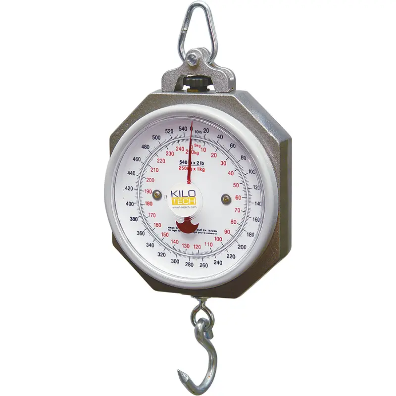 Industrial Hanging Scales 1