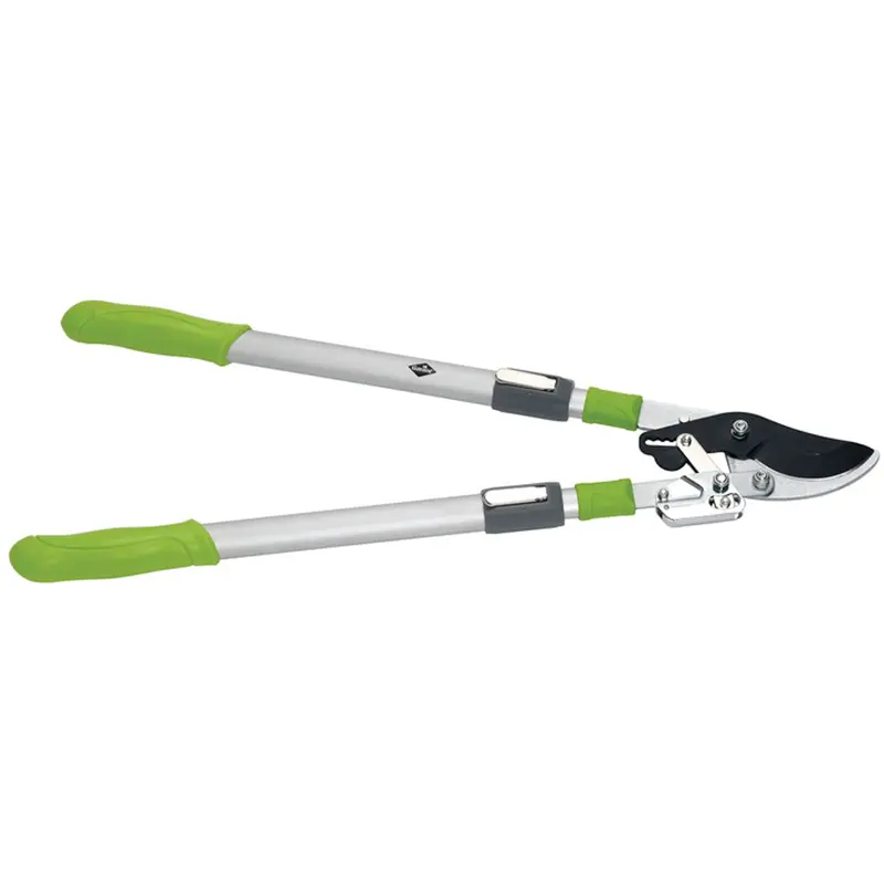 Lopping Shears - By-Pass Ratchet Style 1