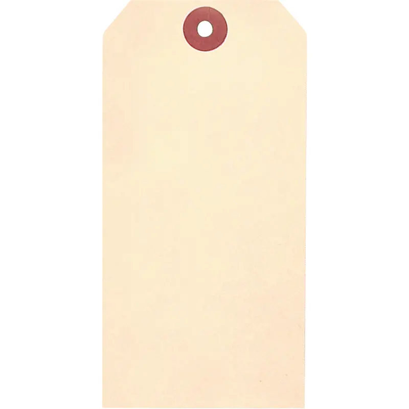 Manila Blank Tags, Cardstock, 2-5/8" W X 5-1/4" H 1
