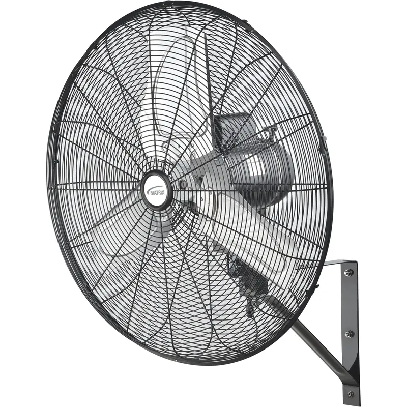 Oscillating Wall Fan 1